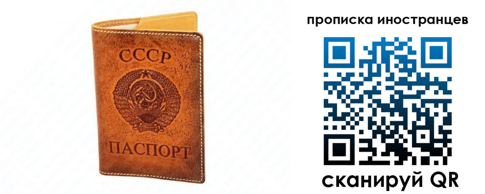 прописка для школы в Краснознаменске